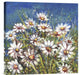 "Campo di margherite" Stretched Canvas Giclee by Luigi Florio, 18"x18"