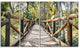 "Wooden Bridge in Forest" Wooden Sea Bridge Canvas Wall Art, 4 Panels, 48"x28"