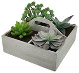 Artificial Succulent Plant Garden in Wooden Box