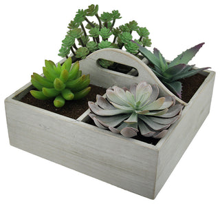Artificial Succulent Plant Garden in Wooden Box