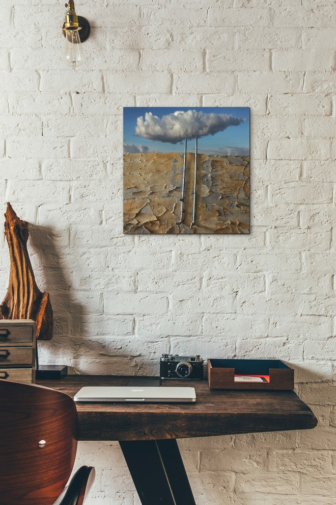 "Susza" Giclee Canvas Wall Art, 12"x12"
