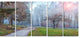 Bright Sun over Autumn Trees, Large Landscape Canvas Print, 60"x28", 5 Panels