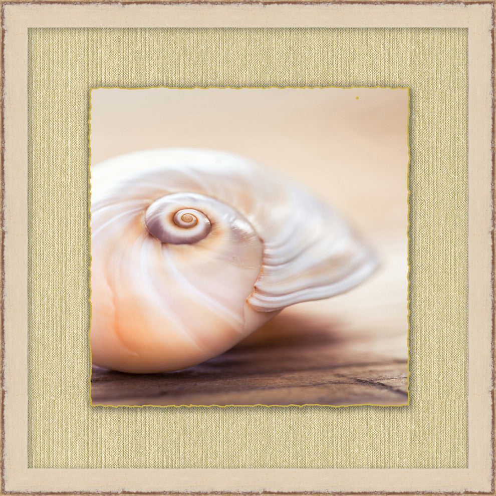 Ivory Shell Portrait, Giclee Reproduction Artwork