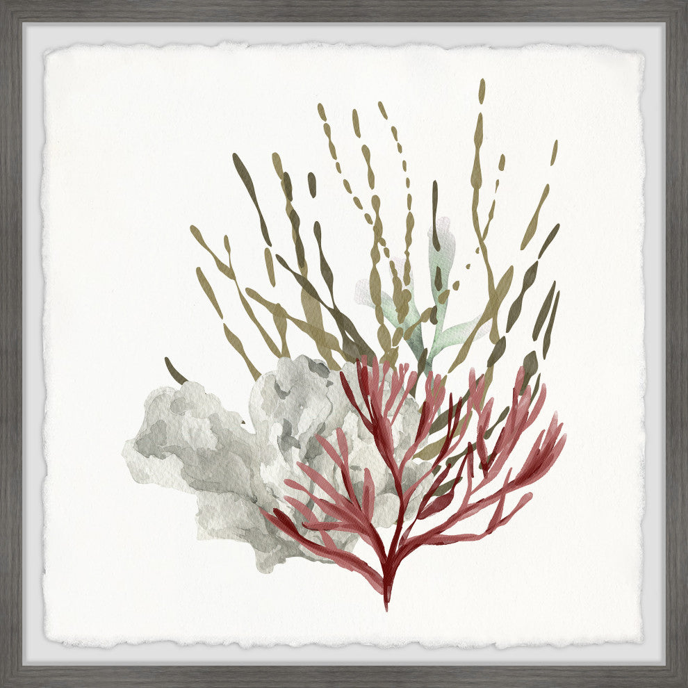 "Sea Vegetables" Framed Painting Print, 24x24