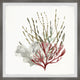 "Sea Vegetables" Framed Painting Print, 24x24