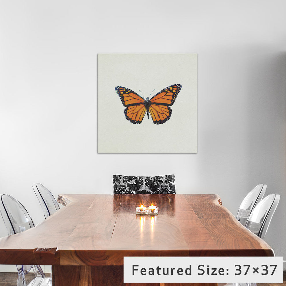 "Butterfly" by Chelsea Victoria, 37x37x1.5