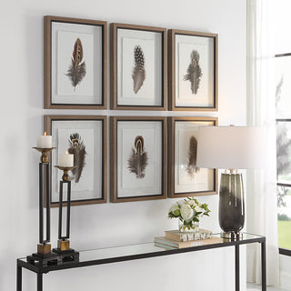 Uttermost Birds Of A Feather Plastic & Paper Prints in Brown/White (Set of 6)
