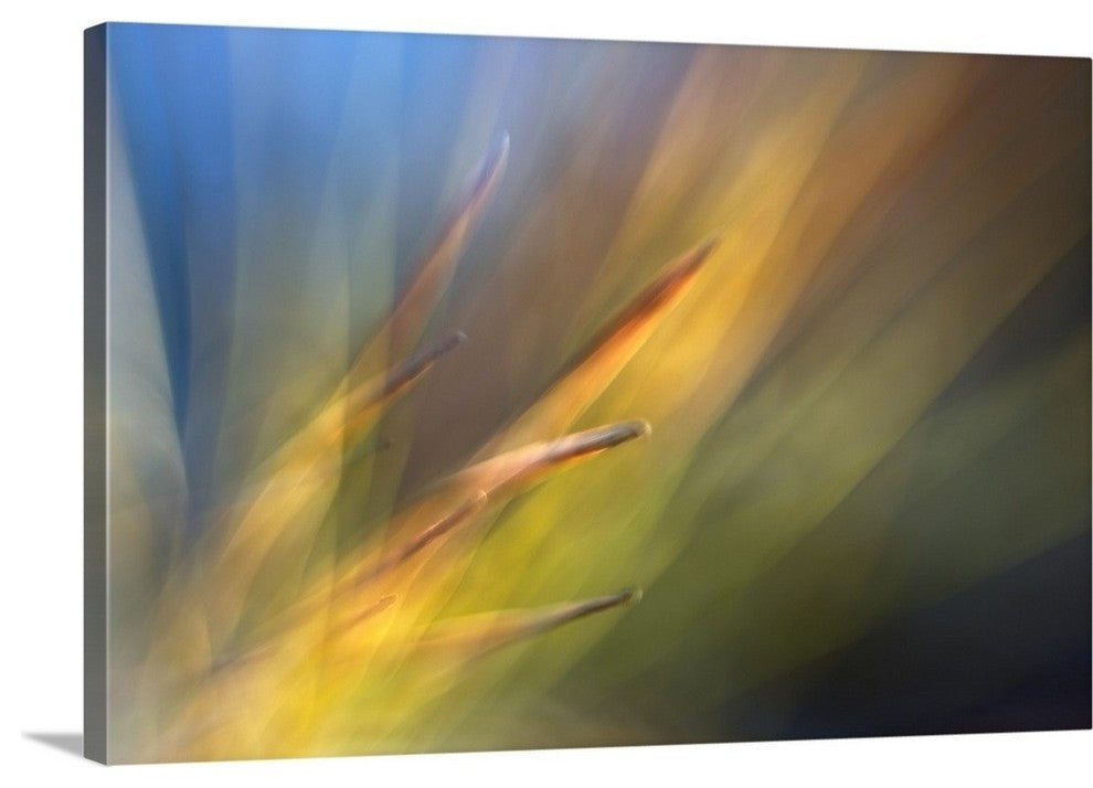 "Pine Needles II" Wrapped Canvas Art Print, 24"x16"x1.5"