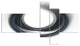 Large Fractal Black Circle on White, Abstract Wall Art Canvas, 60"x32", 5 panels