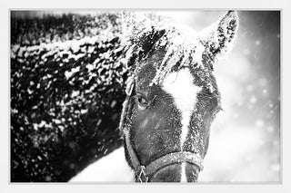 Marmont Hill, "White Horse Mask" Framed Painting Print, 45x30