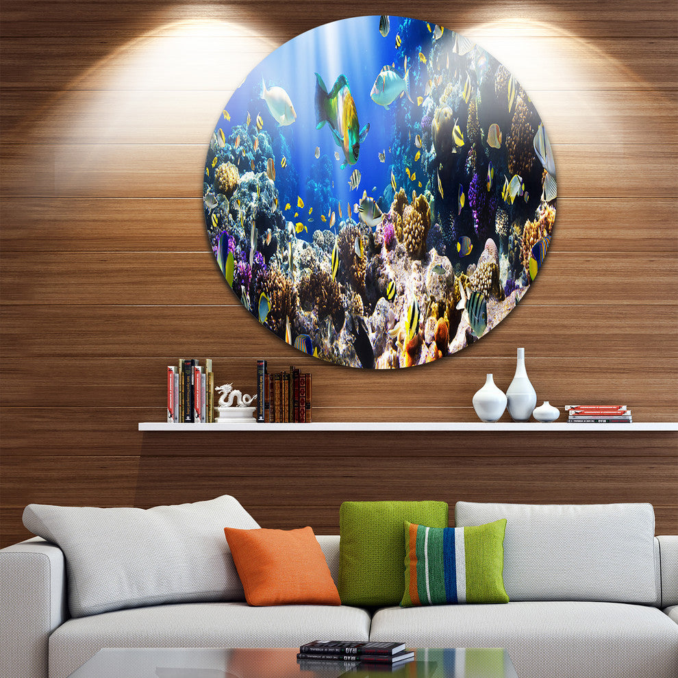 Coral Colony And Coral Fish, Seascape Photo Disc Metal Wall Art, 23"