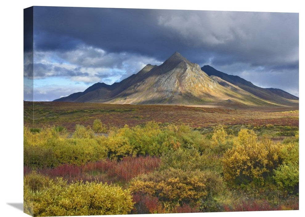 "Ogilvie Mountains, Tombstone Territorial Park, Yukon, Canada" Artwork
