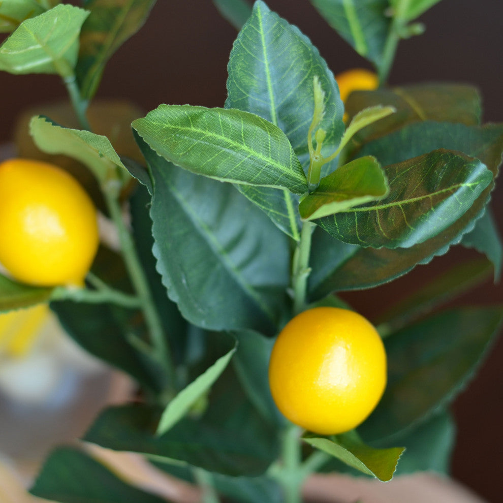 Potted Lemon Topiary Tree , 12.5 Inches