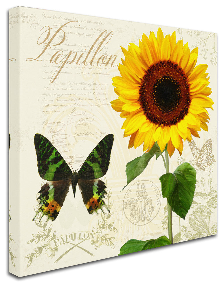 Tina Lavoie 'Natural History Sketchbook III' Canvas Art, 18" x 18"