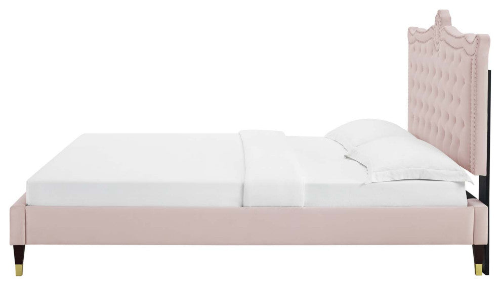 Platform Bed Frame, Nailhead, Queen Size, Pink, Velvet, Modern, Guest Suite