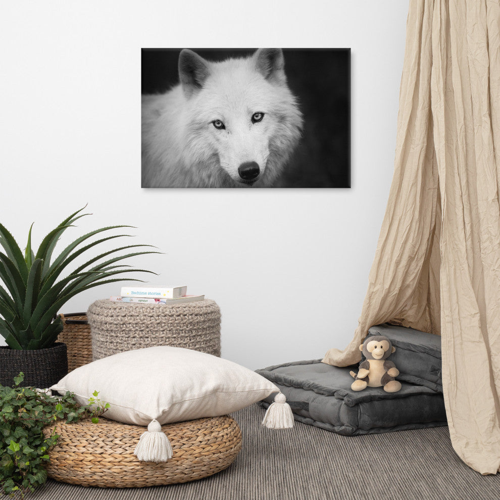 Black and White Portrait of White Wolf Wildlife Photograph Canvas Wall Art Print, 24" X 36"