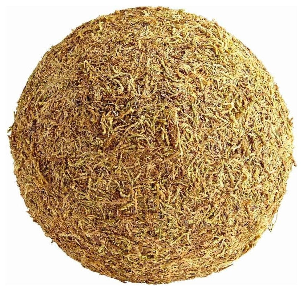 Extra Large St. Augustine Filler