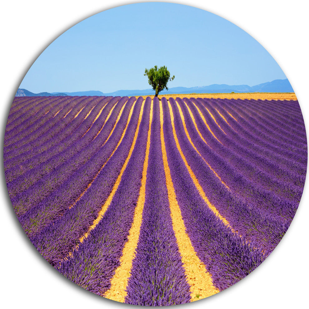 Lonely Uphill Tree In Lavender Field, Landscape Round Wall Art, 36"