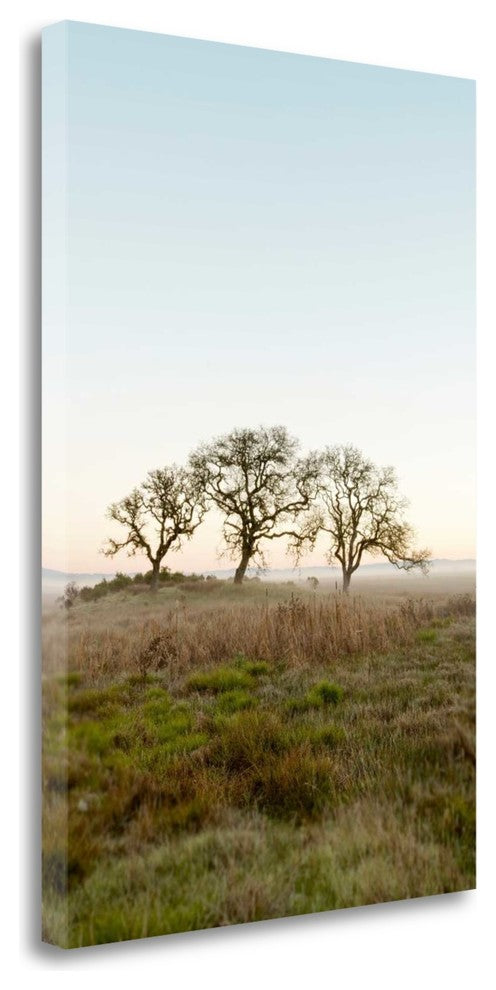 "Oak Tree - 34" By Alan Blaustein, Giclee Print on Gallery Wrap Canvas