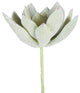 Vickerman 4" Echeveria Pick, Pack of 6