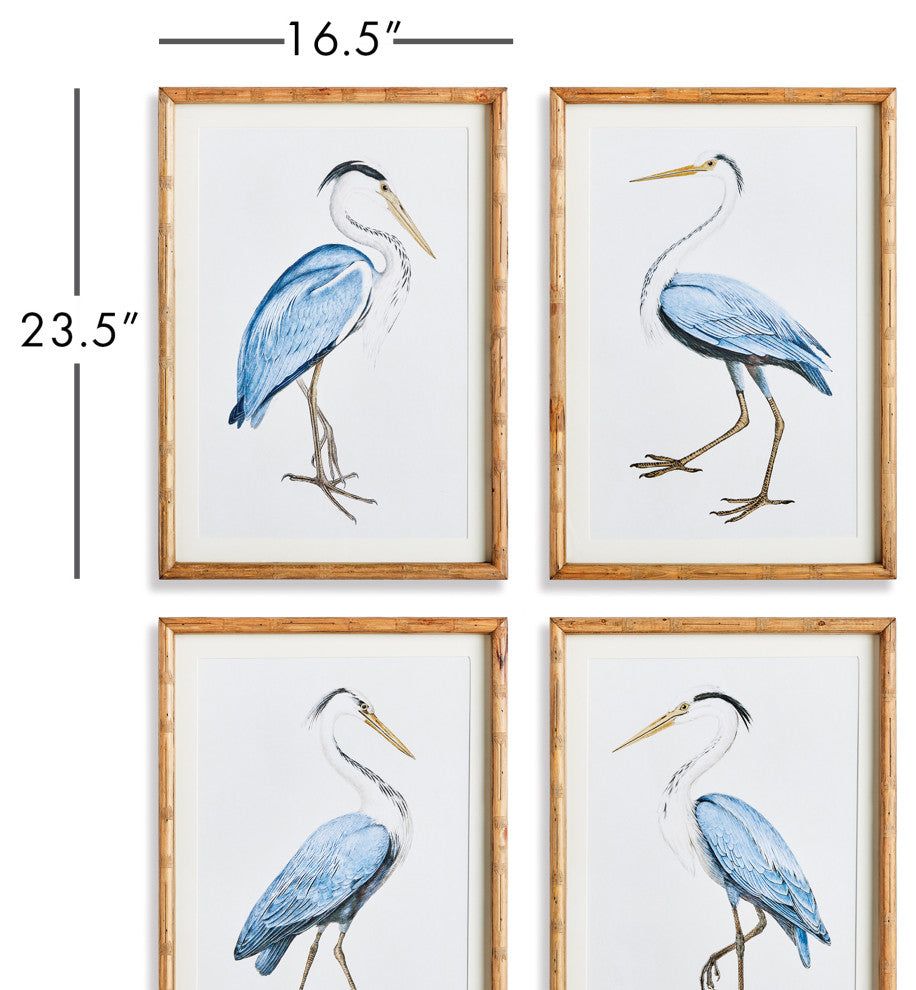 Elegant Blue Heron Gallery, Set of 4
