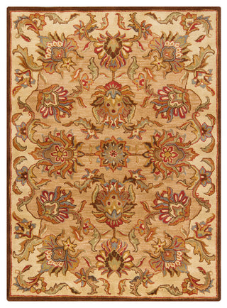 Bajrang Transitional Area Rug, 5'x7'