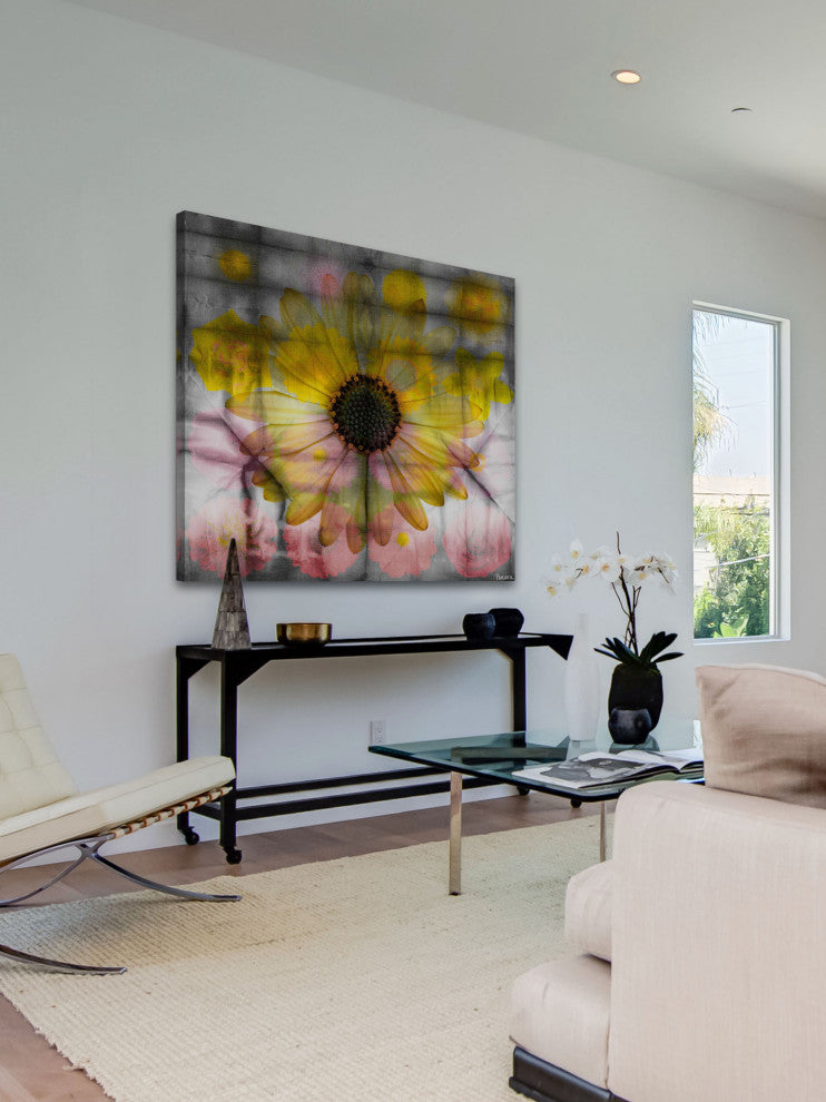 "Pink and Yellow Sunflower" Fine Art Canvas Print, 32"x32"