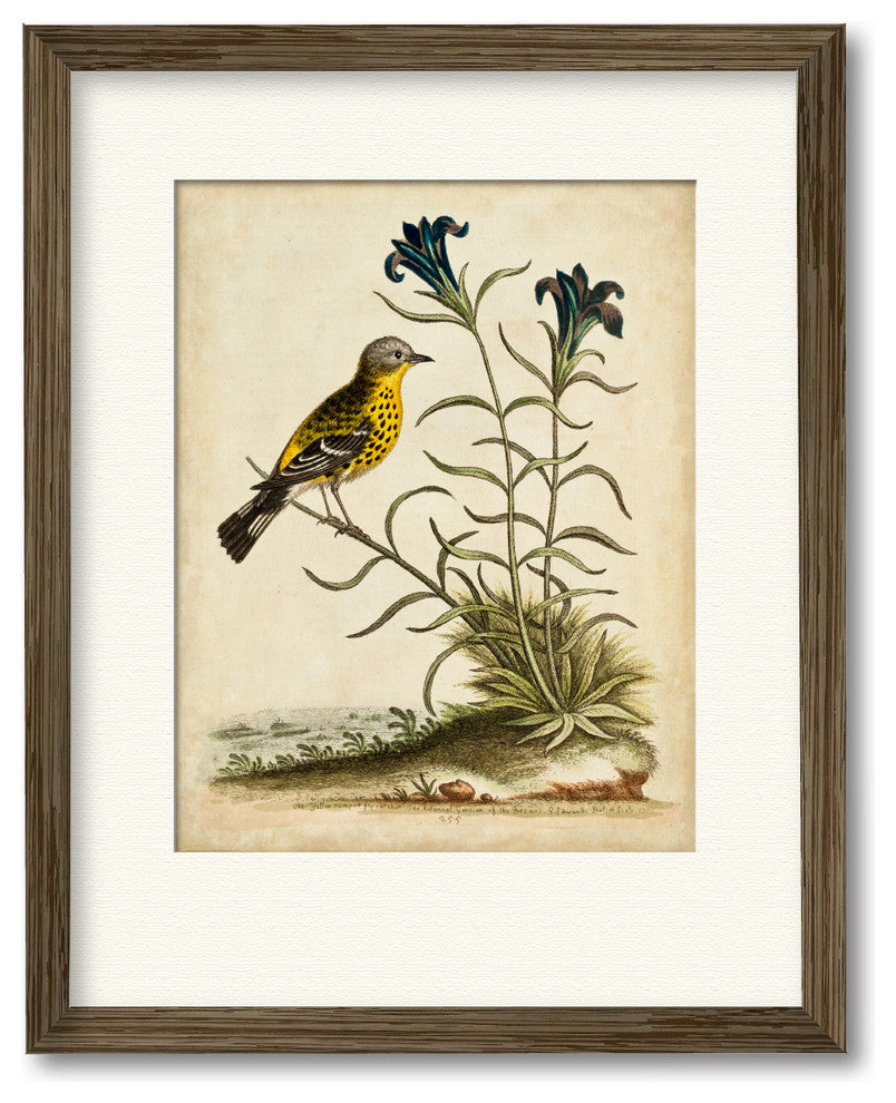 "Natural Habitat III" Gallery Collection Framed Art, 16"x20"