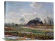 "Tulip Field Sassenheim" Stretched Canvas Giclee by Vincent Van Gogh, 30"x24"