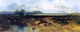 John Oakes ARA The Rivals from Malldraeth Bay Anglesey Wall Decal