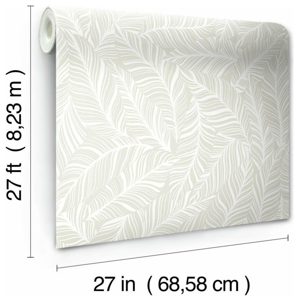 Rainforest Canopy Wallpaper