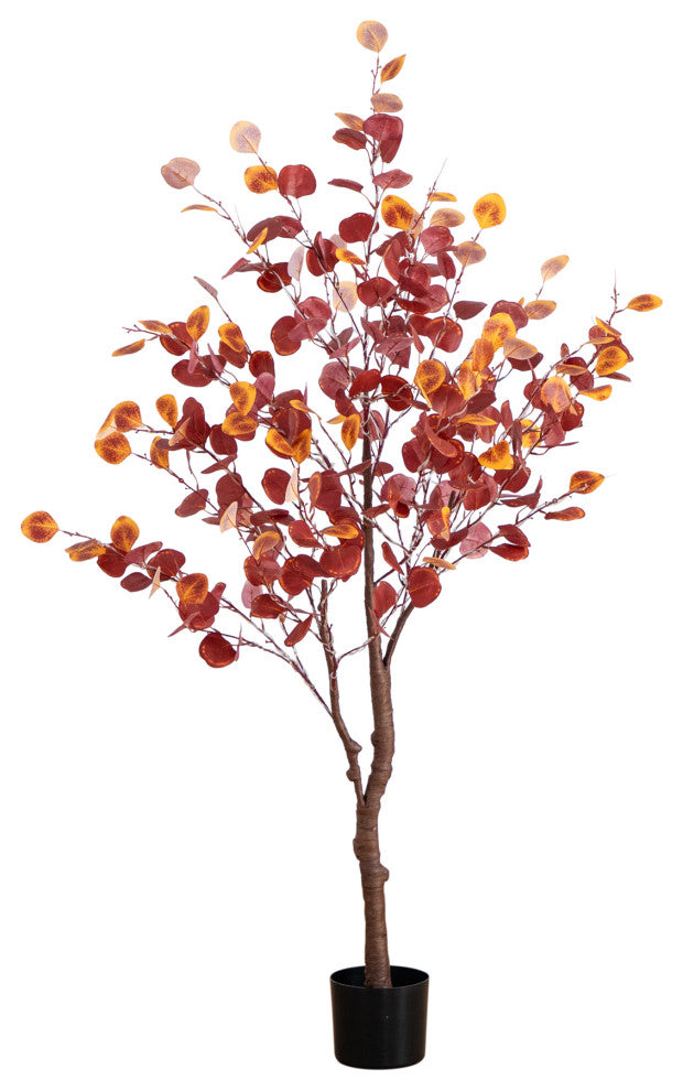 Full plant on white background