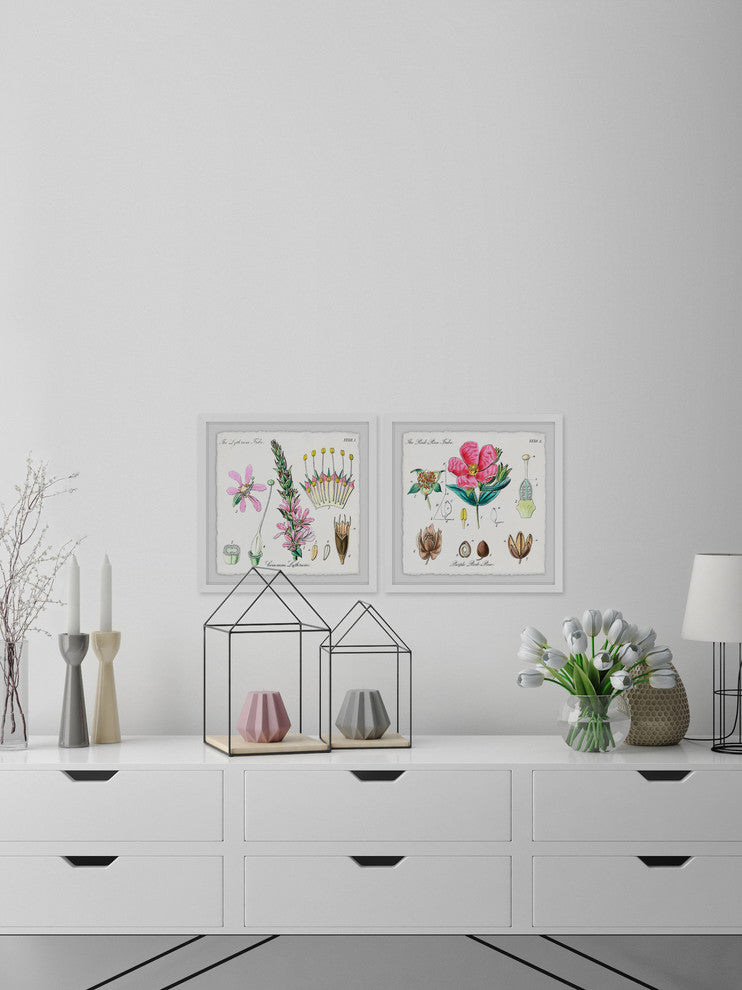 "Growing Pink Diptych" Framed Prints, 18"x18", 2-Piece Set