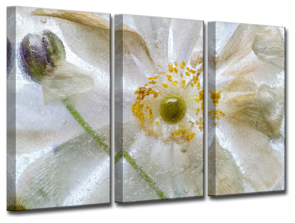 Ready2HangArt 'Floral Freeze' 3-Piece Canvas Wall Decor Set, 60"x40"