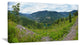 Green Mountains Panorama, Landscape Canvas Art Print, 60"x28"
