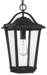 Quoizel DRS1911 Darius 1 Light 11"W Outdoor Pendant - Earth Black