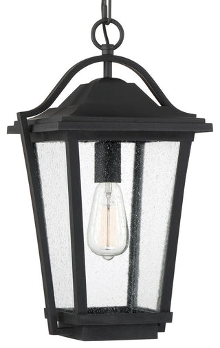 Quoizel DRS1911 Darius 1 Light 11"W Outdoor Pendant - Earth Black