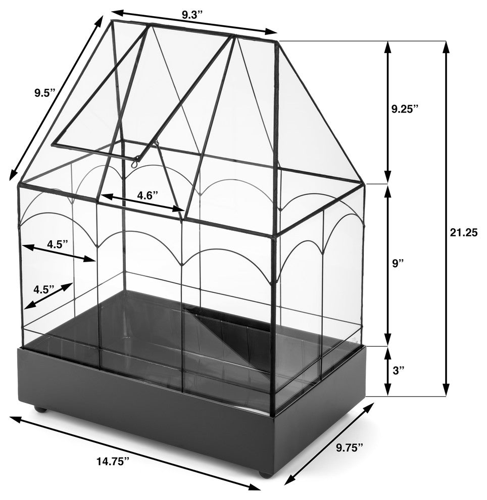 Wardian Case, Glass Plant Terrarium Planter Container
