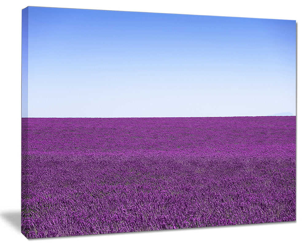 "Lavender Flowers With Blue Horizon" Landscape Wall Art Print, 20"x12"