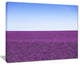 "Lavender Flowers With Blue Horizon" Landscape Wall Art Print, 20"x12"