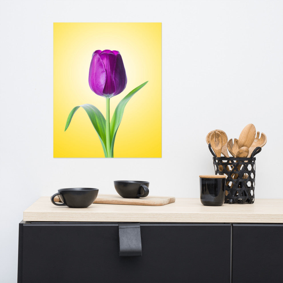 Purple Tulip on Yellow Minimal Floral Nature Photo Loose Wall Art Print, 16" X 20"