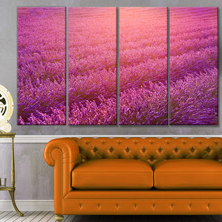 Lavender Field and Ray of Light, Floral Canvas Art Print, 48"x28", 4 Panels