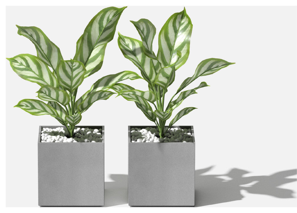 Veadek Geo Series Cube 5" Planter, Grey, 5 Inch, 2 Pack