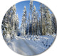 Snowy Blue Winter, Landscape Photography Disc Metal Artwork, 36"