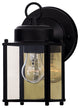 Exterior Collections Outdoor Wall-Mount Lantern, Black