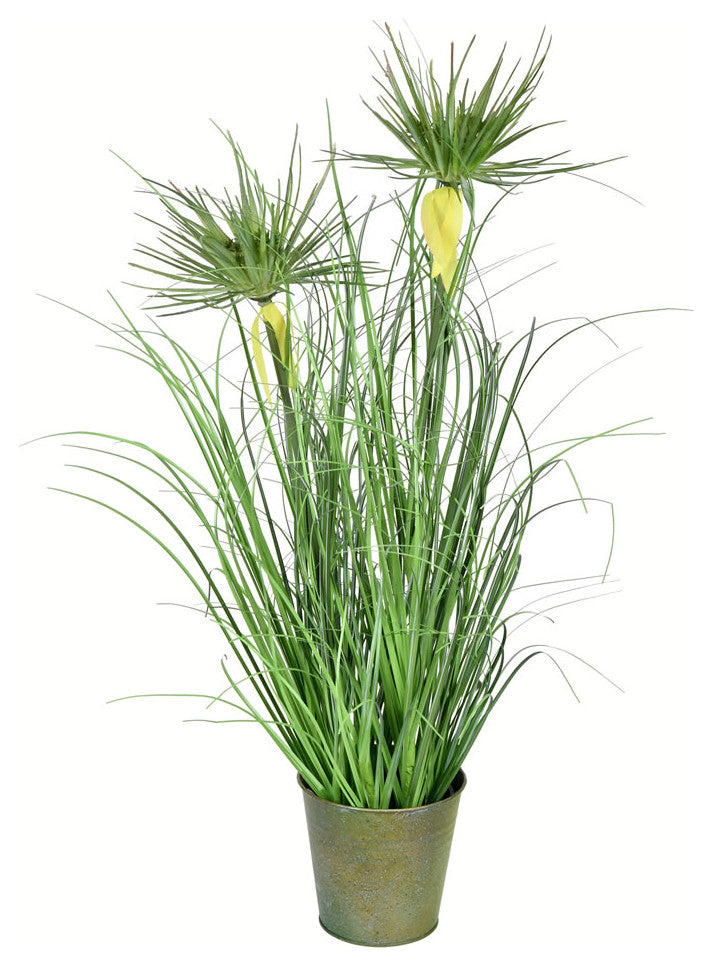 Vickerman 24" Green Cyperus Grass In Iron Pot