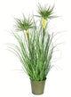 Vickerman 24" Green Cyperus Grass In Iron Pot