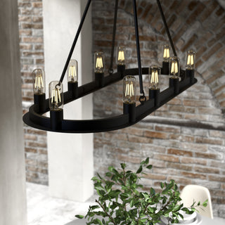 Hunter Saddlewood Natural Iron 10 Light Chandelier Ceiling Light Fixture