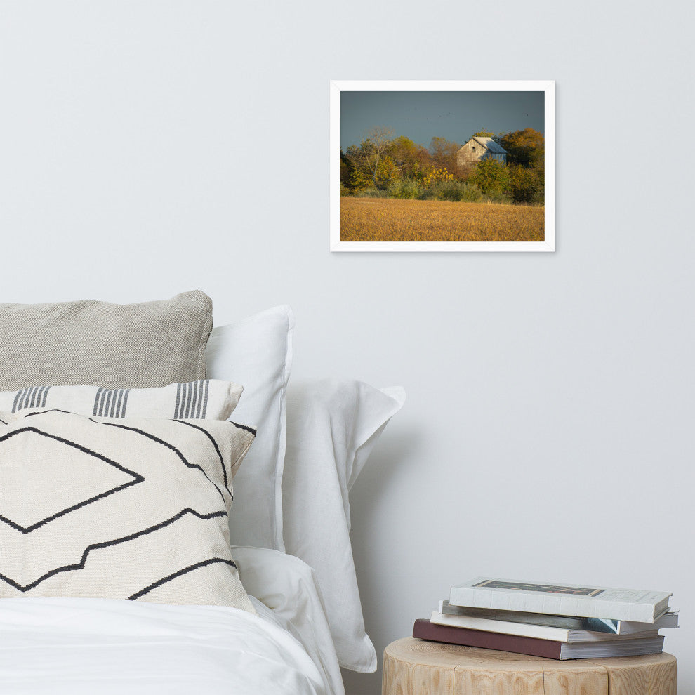 Abandoned Barn In The Trees Framed Photo Paper Wall Art Prints, White, 12" X 16"