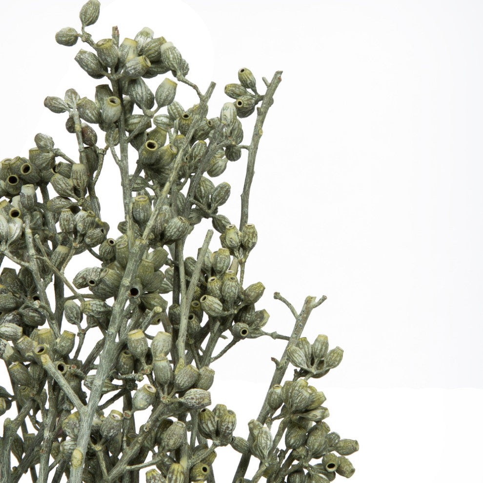 Vickerman H1Eyp150 Botanicals 12"X1-3" Eucalyptus Clusters Stem Green Frosted